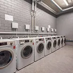 Shed Coliving 3*